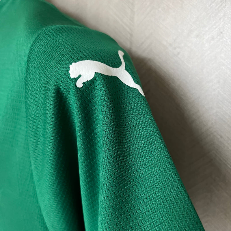 Kit Infantil Palmeiras 2025/26 I - Puma